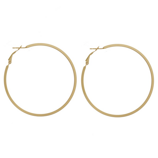 Large matte hoop earrings. Approximately 2.5" in diameter.